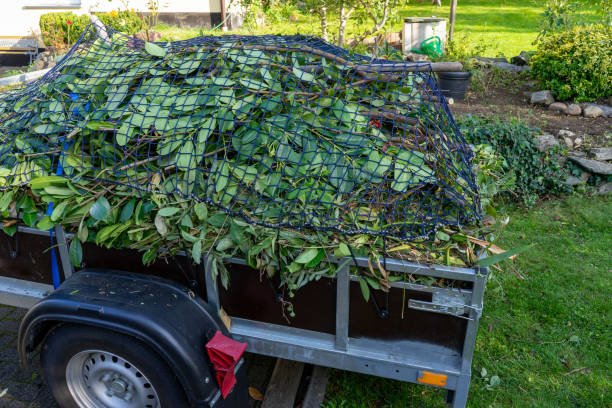 Best Commercial Junk Removal  in Sterlington, LA